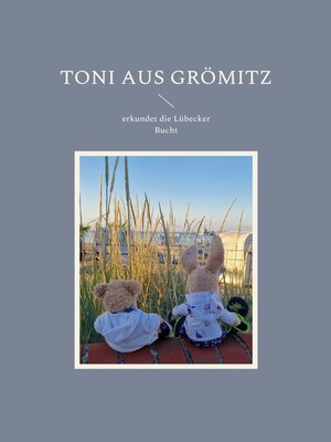 cover image of Toni aus Grömitz